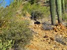 photo thumbnail #8