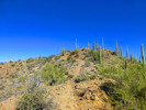 photo thumbnail #12