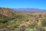 photo thumbnail #3
