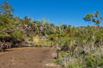 photo thumbnail #9