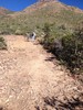 photo thumbnail #4