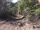 photo thumbnail #5