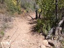 photo thumbnail #11