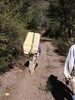 photo thumbnail #12