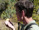 photo thumbnail #5