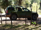 photo thumbnail #14
