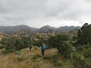 photo thumbnail #7