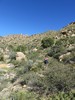 photo thumbnail #11