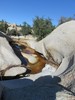 photo thumbnail #14