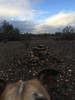 photo thumbnail #3