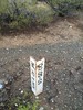 photo thumbnail #5