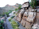 photo thumbnail #2