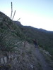 photo thumbnail #5