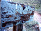 photo thumbnail #8