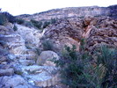 photo thumbnail #11