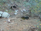 photo thumbnail #4
