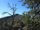 photo thumbnail #6