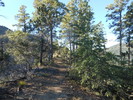 photo thumbnail #8