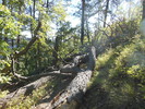 photo thumbnail #11