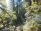 photo thumbnail #12