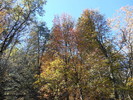 photo thumbnail #13
