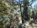 photo thumbnail #14