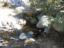 photo thumbnail #15