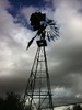 photo thumbnail #3