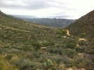 photo thumbnail #4