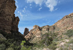 photo thumbnail #2