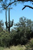 photo thumbnail #15