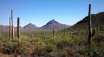 photo thumbnail #6