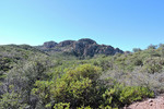 photo thumbnail #4