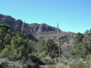 photo thumbnail #6