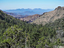 photo thumbnail #7