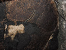 photo thumbnail #13