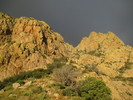 photo thumbnail #10