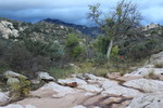photo thumbnail #7