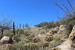 photo thumbnail #11