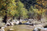 photo thumbnail #12