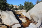 photo thumbnail #15