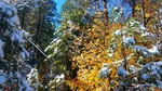 photo thumbnail #6
