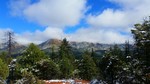 photo thumbnail #5