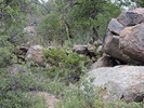 photo thumbnail #8