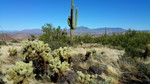 photo thumbnail #3