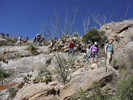 photo thumbnail #3