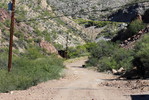 photo thumbnail #3