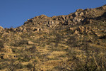 photo thumbnail #5