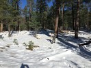 photo thumbnail #9