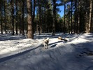photo thumbnail #10
